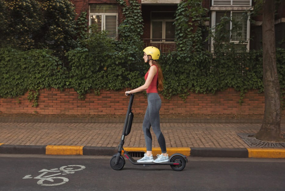 Segway Ninebot E45D Electric KickScooter User Manual